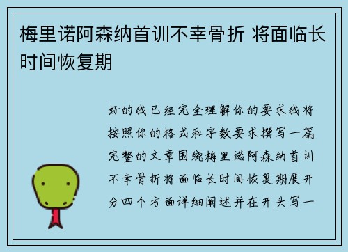 梅里诺阿森纳首训不幸骨折 将面临长时间恢复期 梅里诺阿森纳首训不幸骨折 将面临长时间恢复期